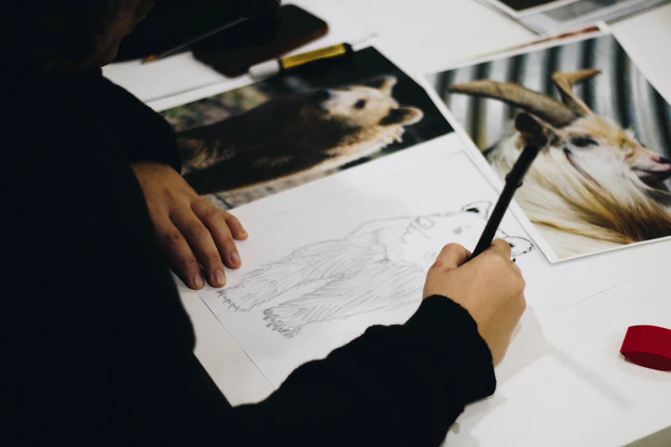 Person drawing brown bear on paper
